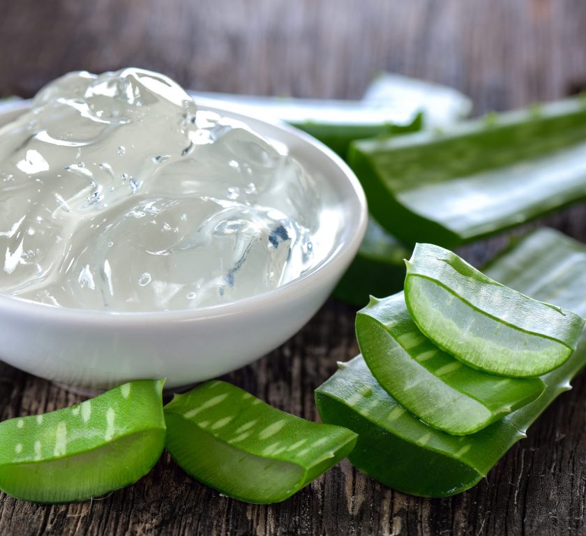 Aloe Vera4545_1