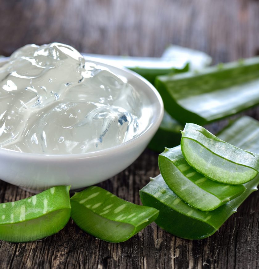 Aloe Vera4545_1
